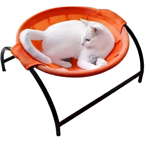 Lit Pour Chat Orange