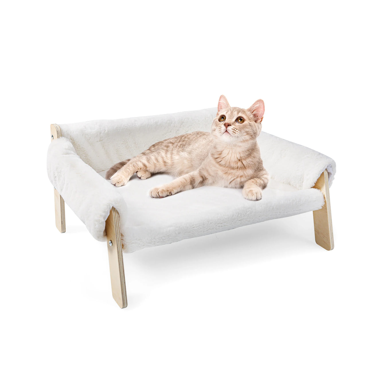 Canapé Pour Chat