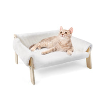 Thumbnail for Canapé Pour Chat