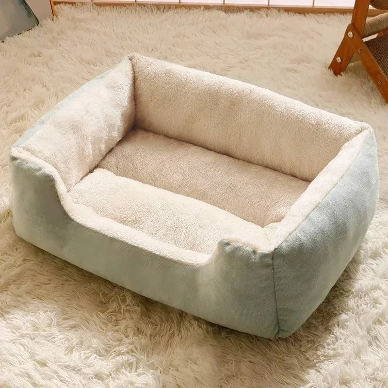Lit Pour Chat