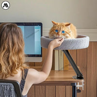 Thumbnail for Panier de Bureau Pour Chat
