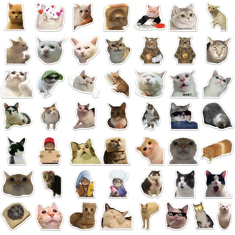 Autocollant De Chat