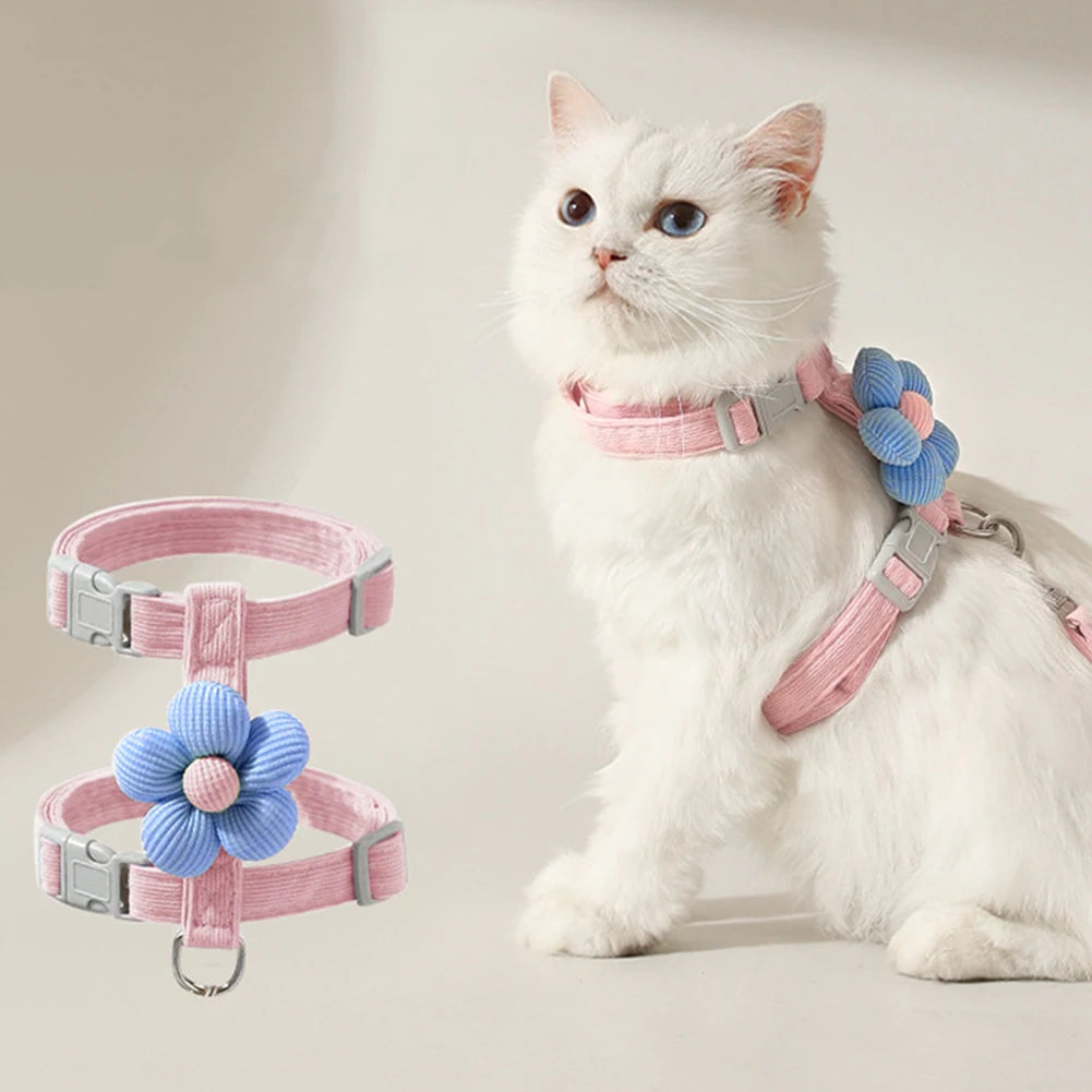 Collier Pour Chat