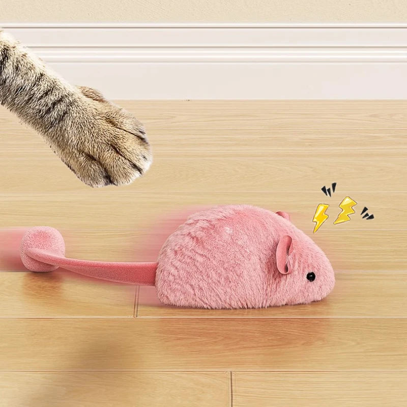 Souris Lumineuse pour Chat | Ma Maison Chat