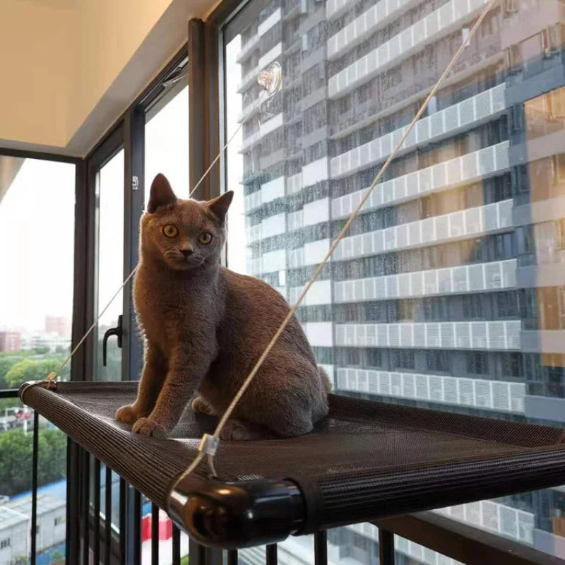 Confort Pour Chat