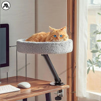 Thumbnail for Nid de Bureau Pour Chat