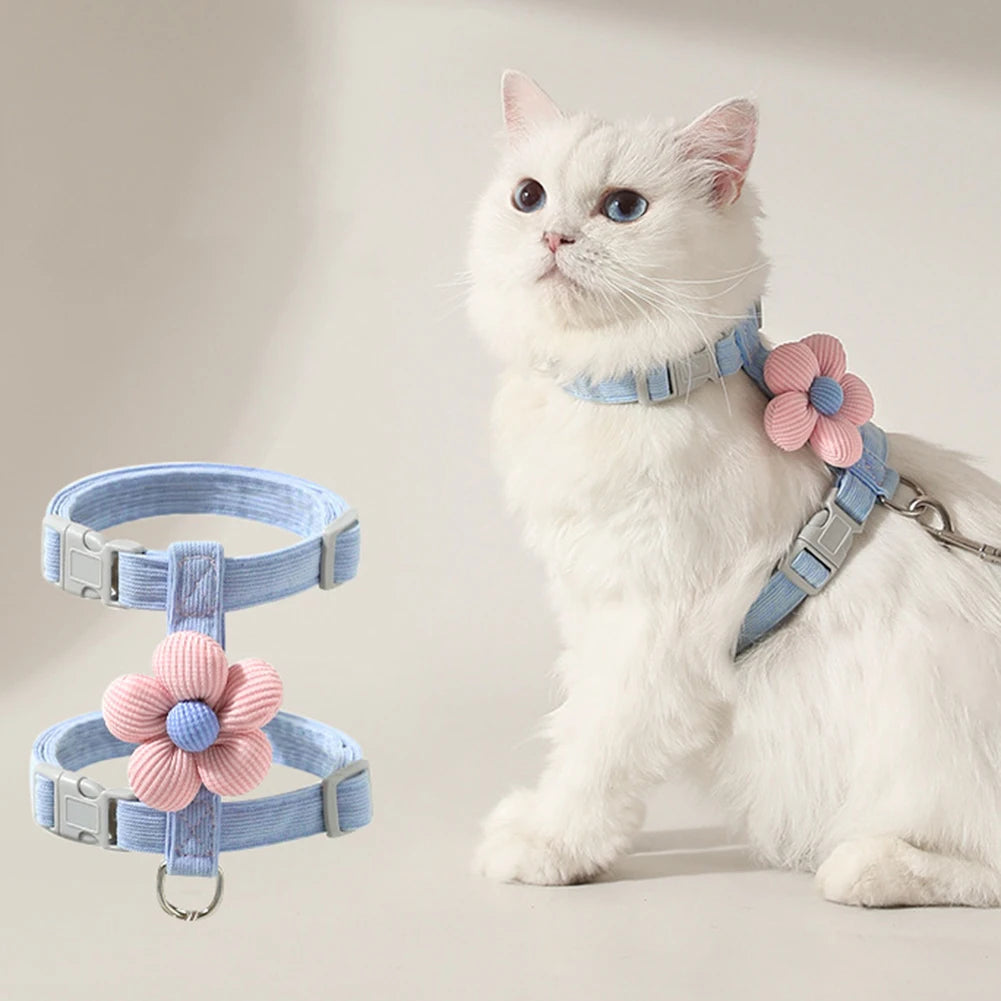 Collier Pour Chat