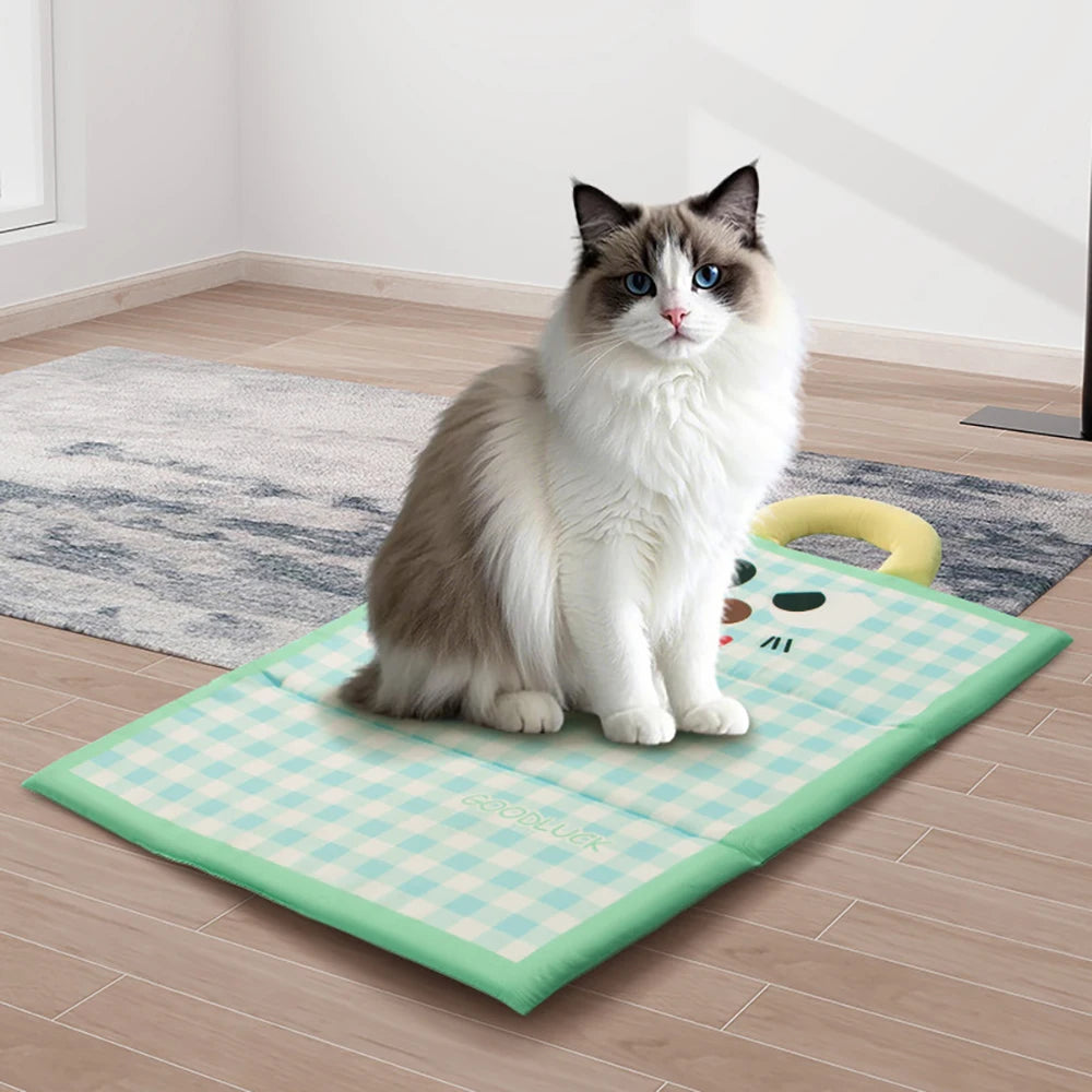 tapis impermeable pour chat