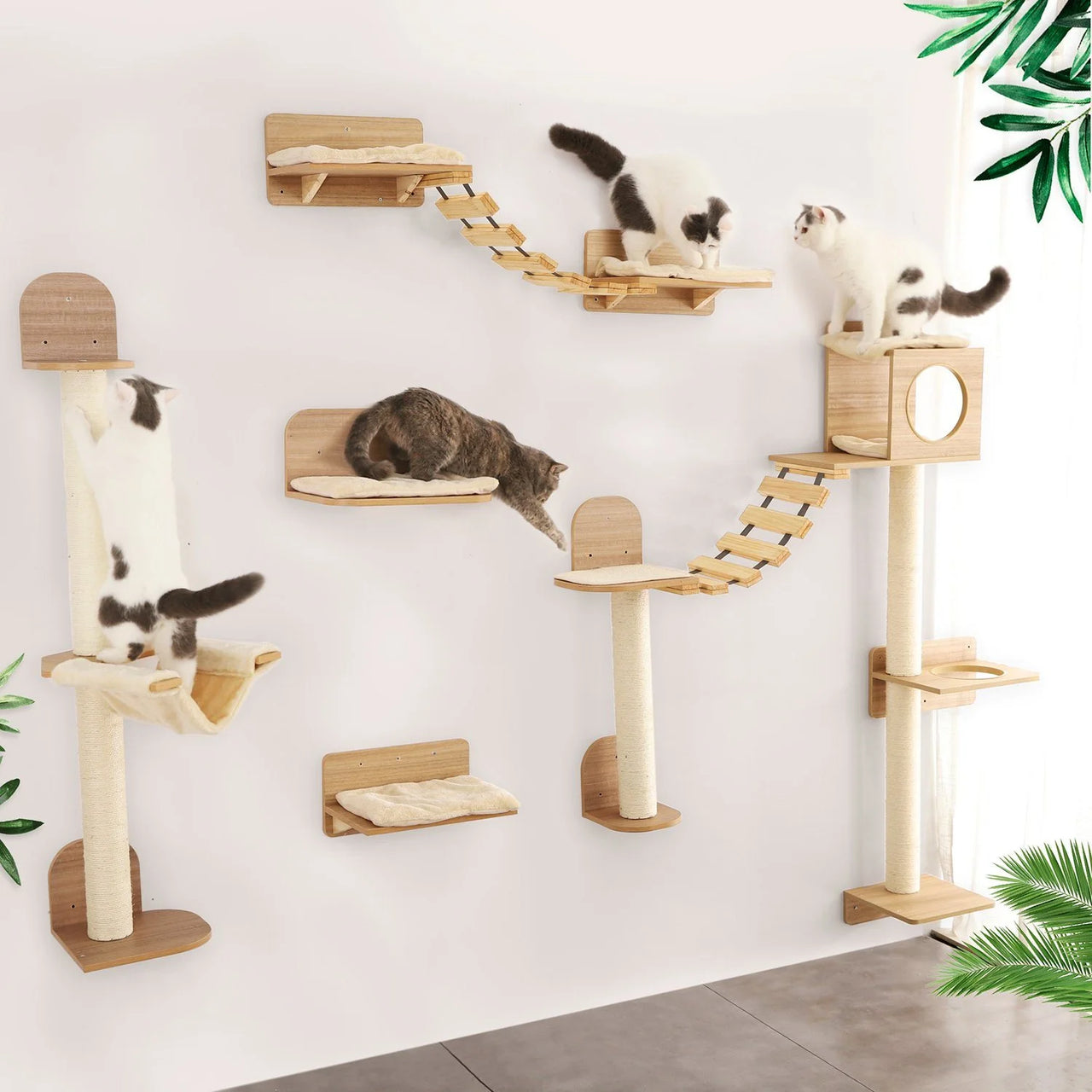 Parcours mural pour chat | Ma Maison Chat