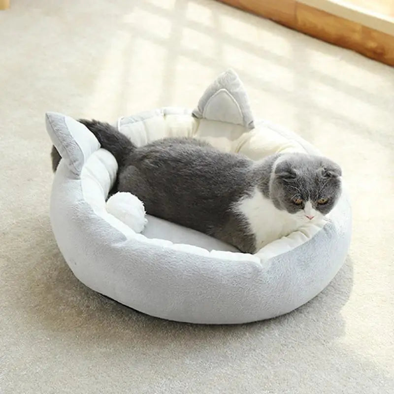 Lit Pour Chat