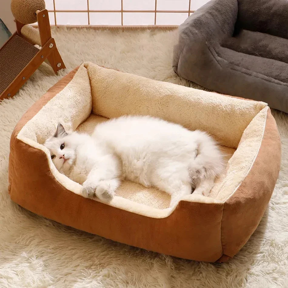 Couchage Pour Chat
