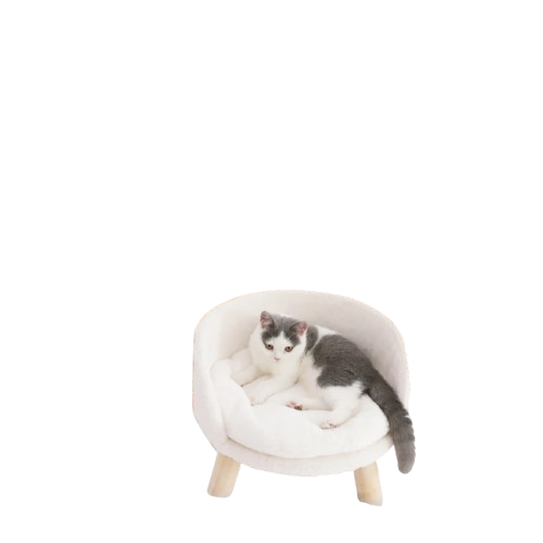 Canapé Blanc Pour Chat