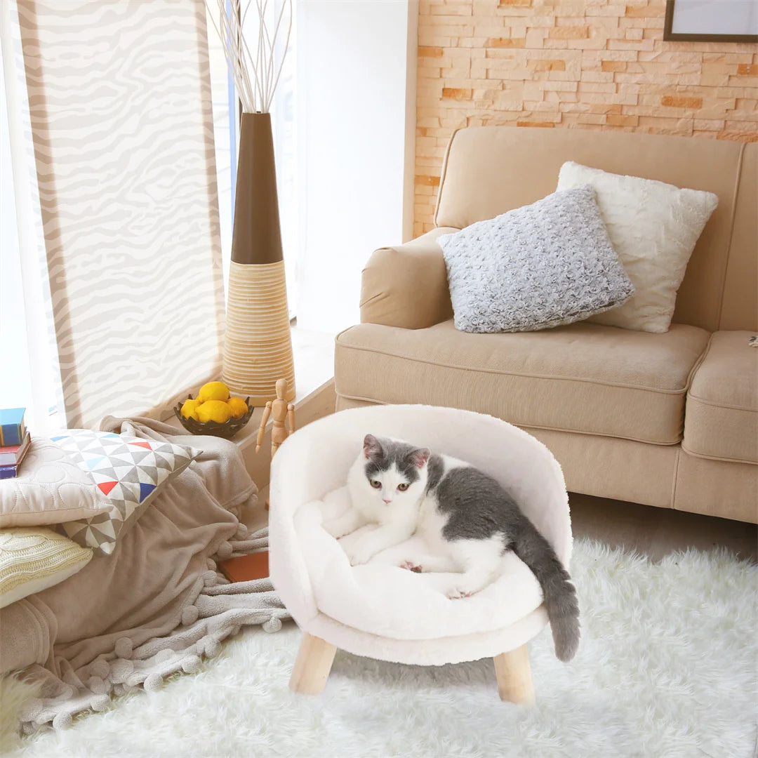 Canape pour Chat