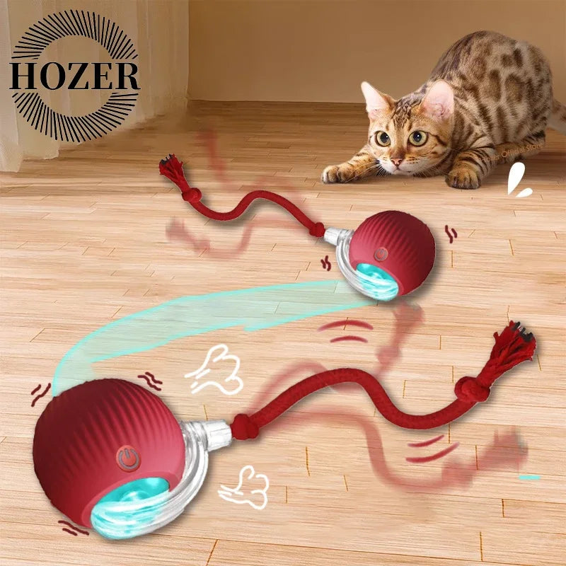 Balle Pour Chat