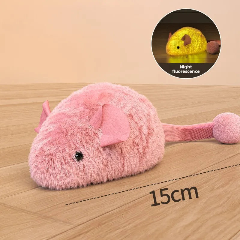 Souris Lumineuse pour Chat | Ma Maison Chat