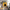 Poster De Chat