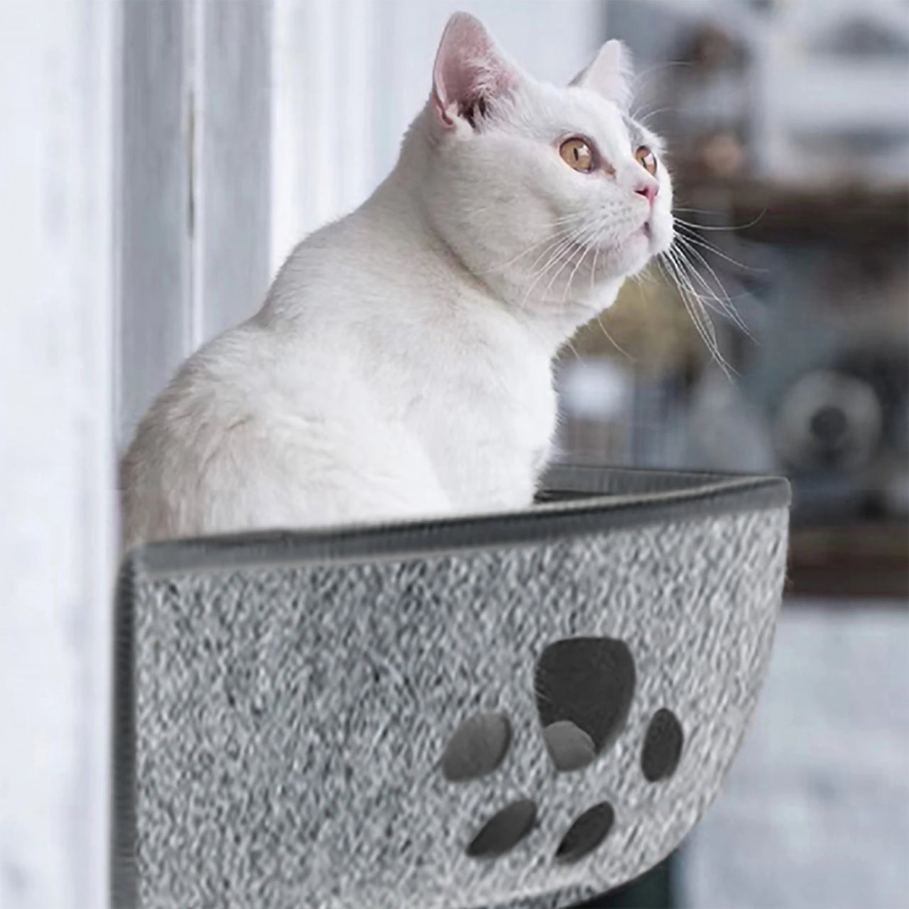 Hamac de Fenetre Pour Chat