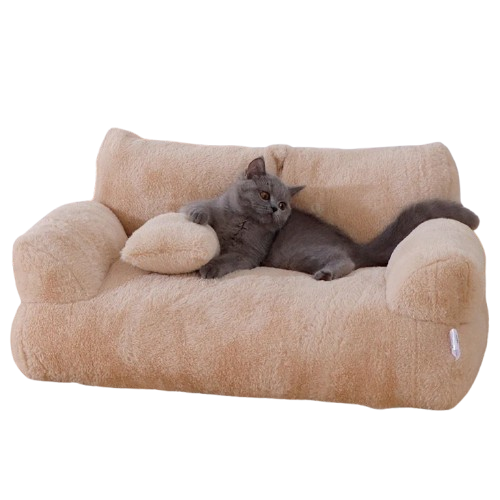 Sofa Beige Pour Chat