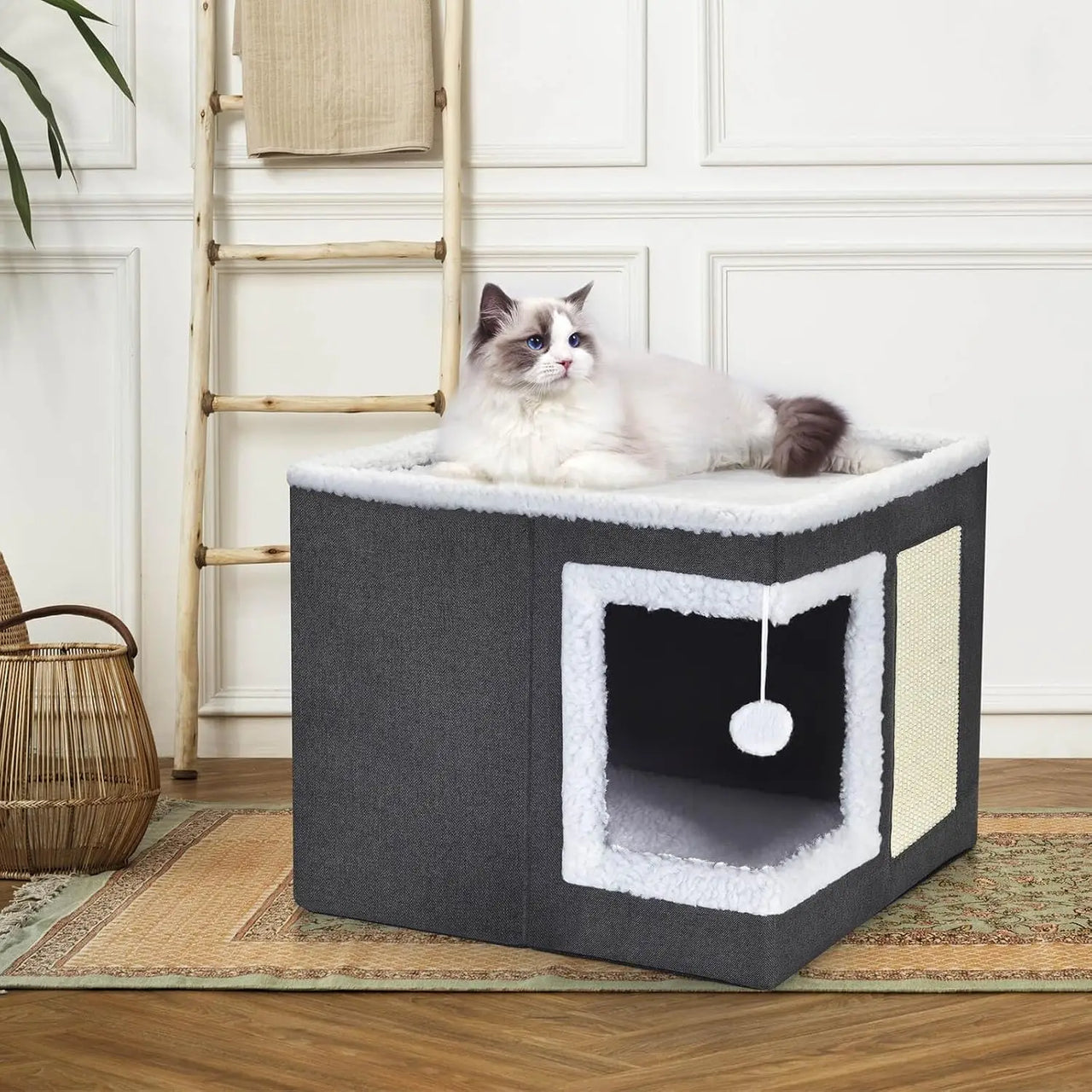 Maison Pour Chat