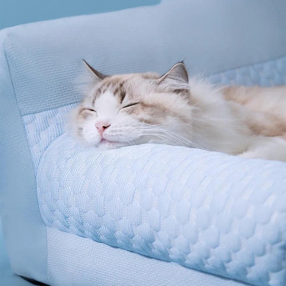 Couchage Pour Chat
