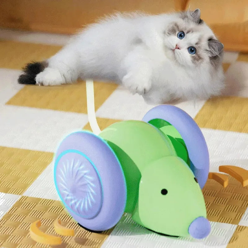 Souris Pour Chat