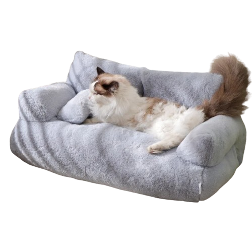Sofa Gris Pour Chat