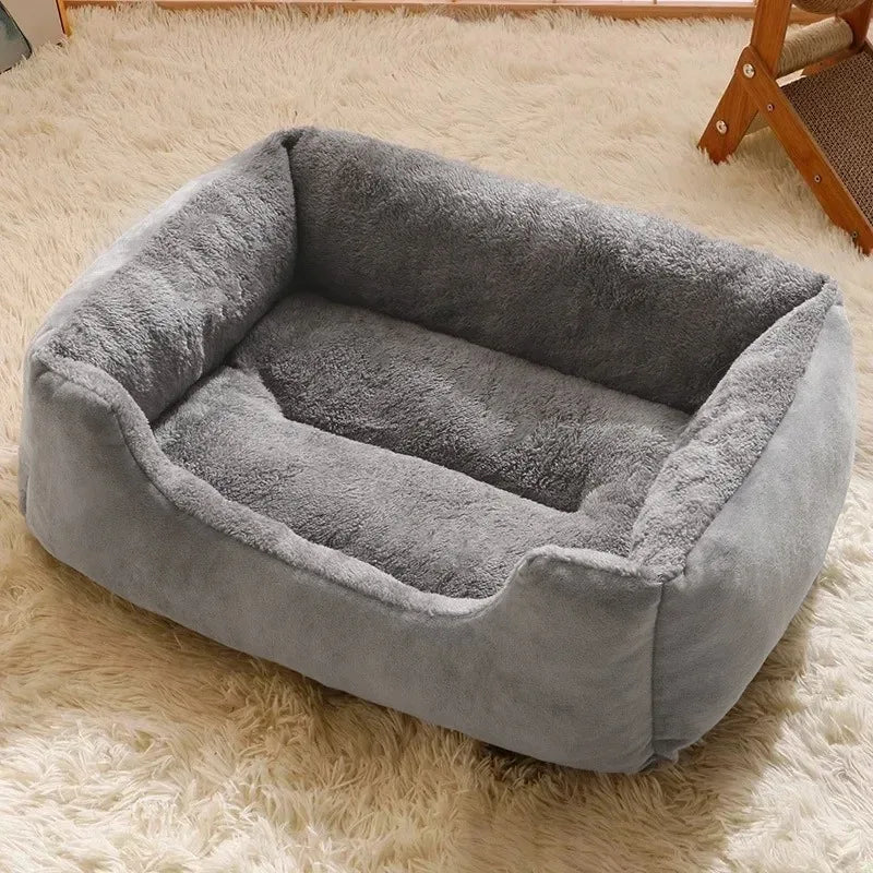Lit Pour Chat Gris