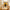 Chat Noir