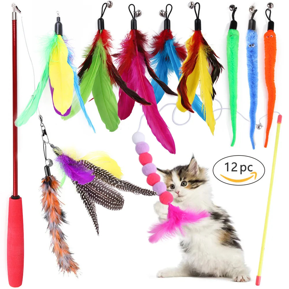 Coffret de Jouets pour Chat | Ma Maison Chat