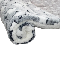 Thumbnail for Tapis Gris Pour Chat