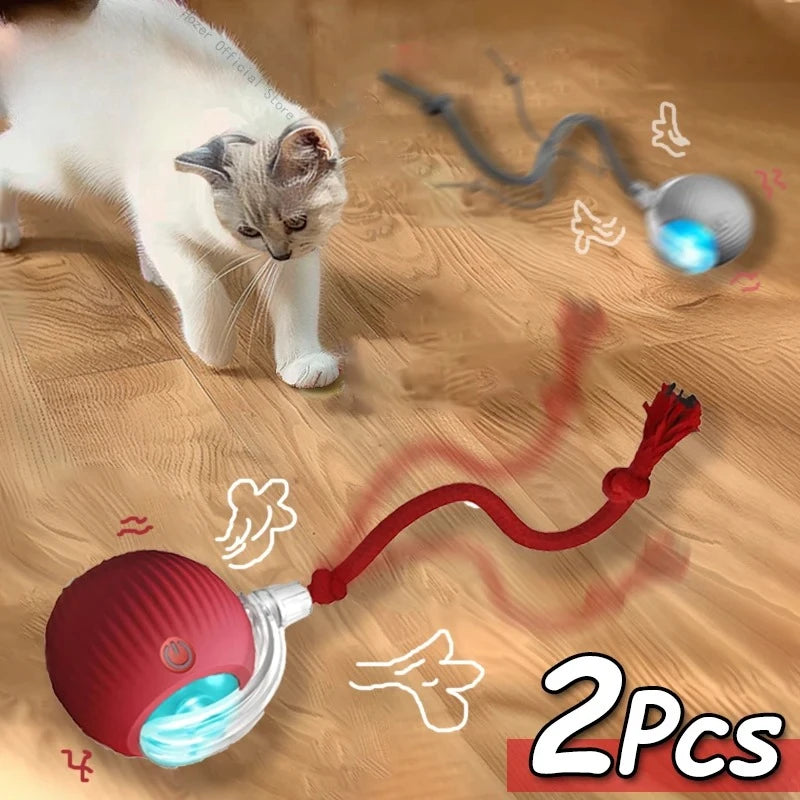 Jouet Pour Chat