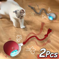 Thumbnail for Jouet Pour Chat