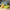 Panier Chat Vert