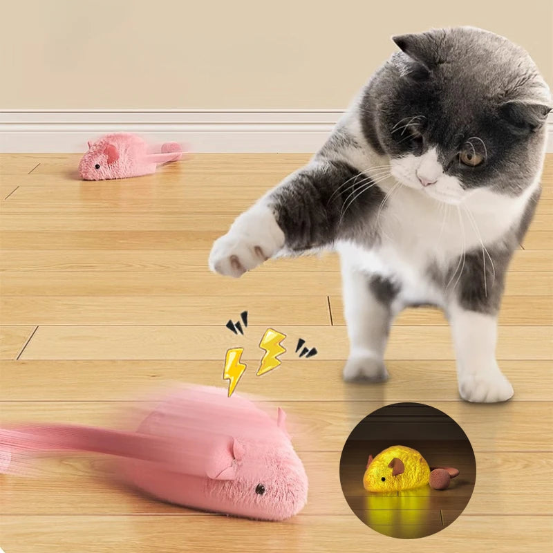 Souris Lumineuse pour Chat | Ma Maison Chat