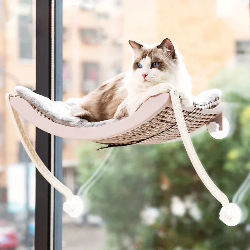 Confort Pour Chat