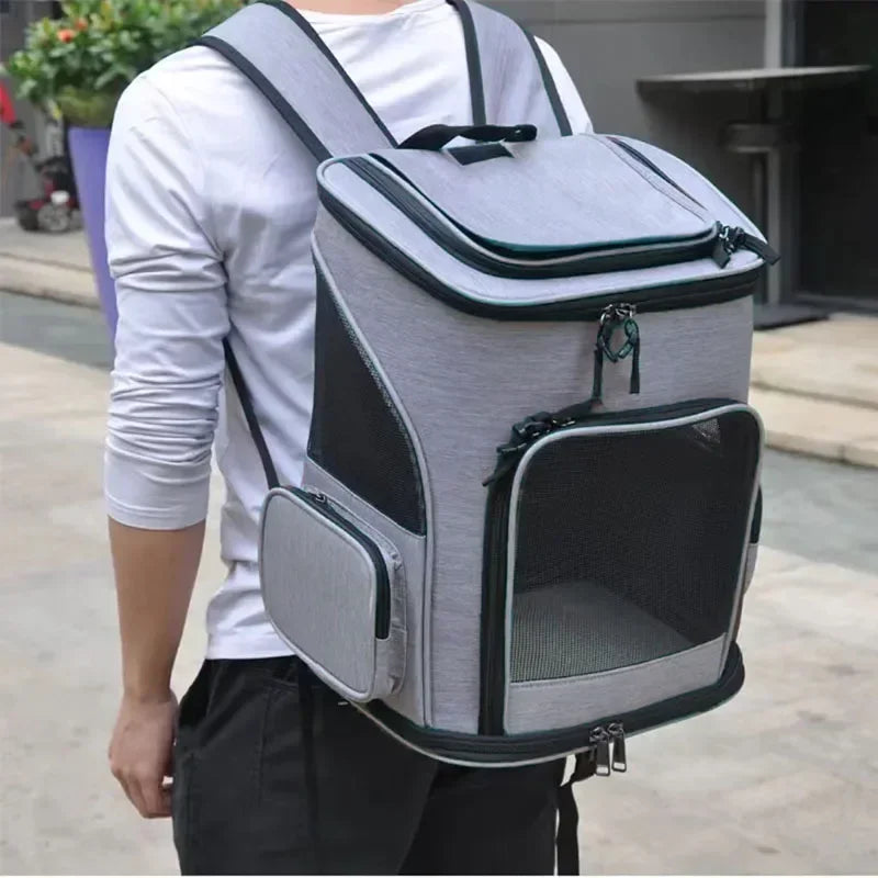 Transport Pour Chat