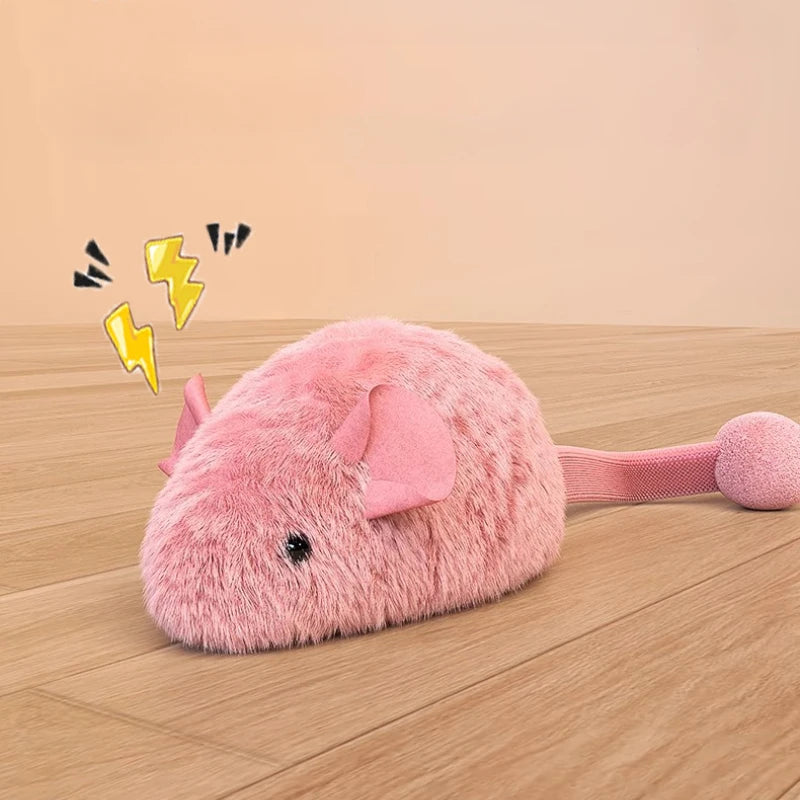 Souris Lumineuse pour Chat | Ma Maison Chat