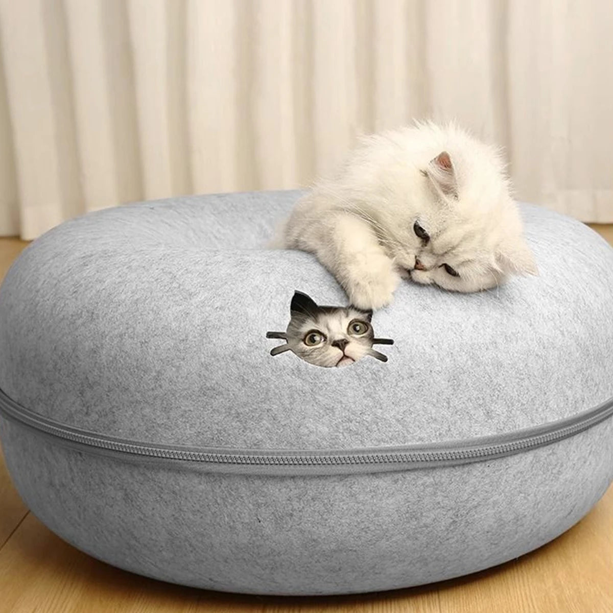Lit Pour Chat