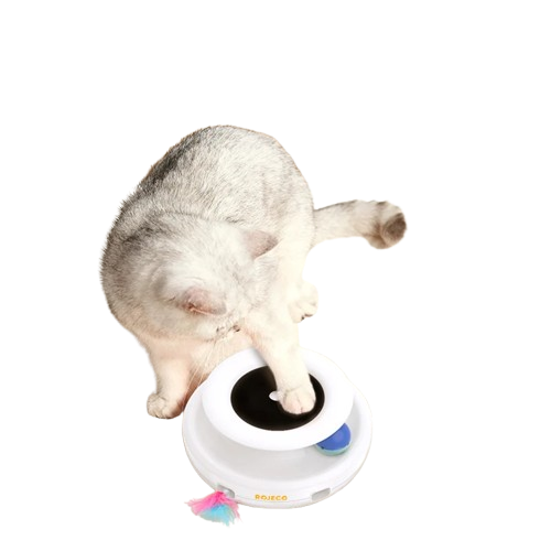 Jeux interactif Pour Chat